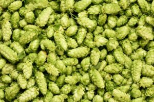 Russian Brewers Hops Shortage Ft Blog0422 Ab9544285C4B41B8Adbe18F8Bc0Bfe9F